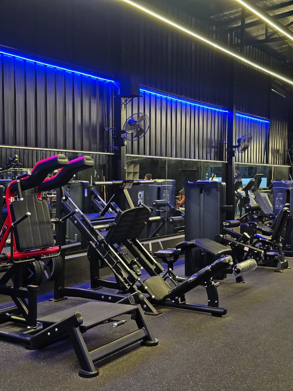 Gym Setup